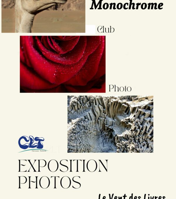 Exposition « Monochrome »